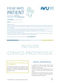 Cervicotomie endoscopique